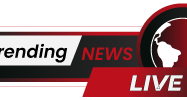 TRENDING NEWS