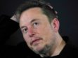 Musk says his new AI chatbot has 'a little humour