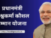 प्रधानमंत्री विश्वकर्मा कौशल सम्मान योजना